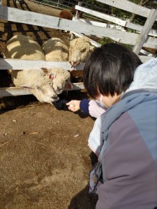 LINE_ALBUM_研修旅行_231120_15